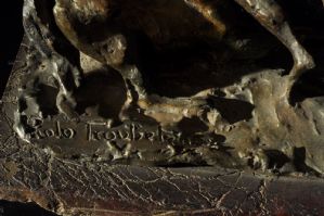 Foto 8